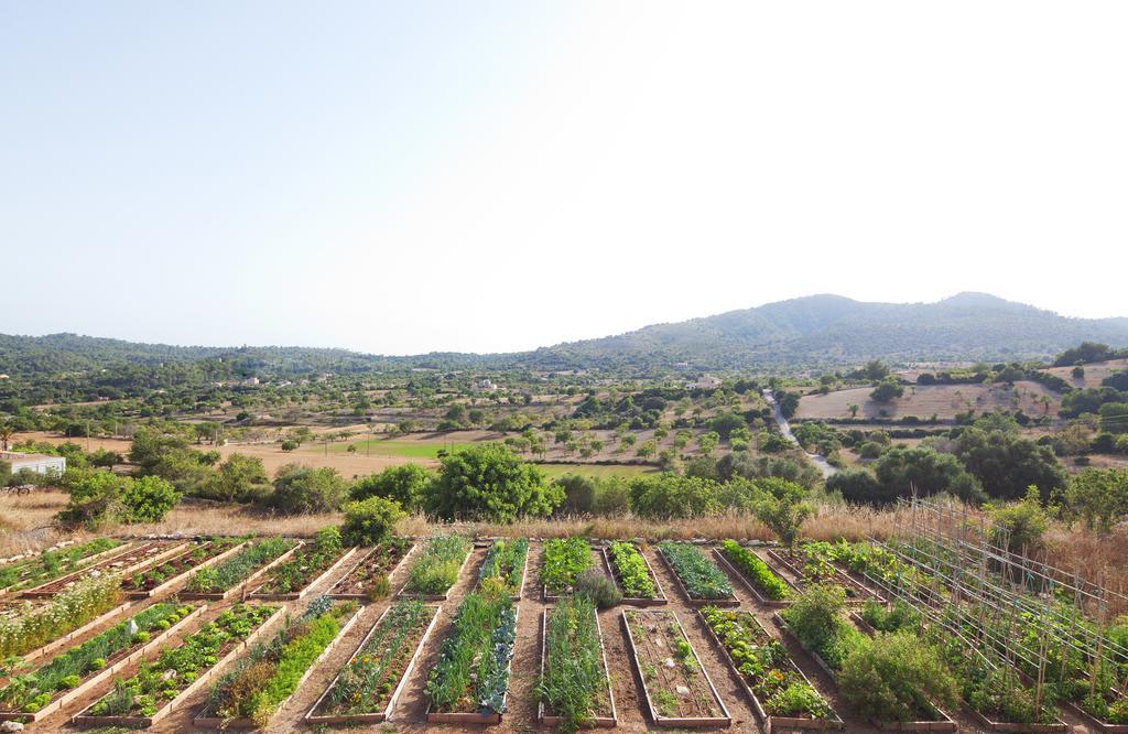 Agroturismo Ses Cases De Fetget (Adults Only) 松塞尔韦拉 外观 照片